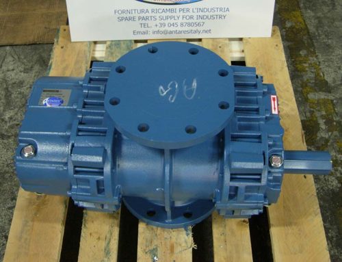 Rotary volumetric blower Robuschi