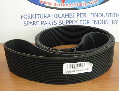 POGGI BELT PLY V 11L